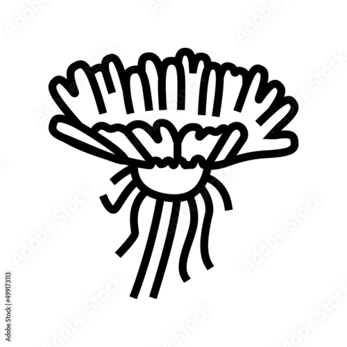 dandelion flower bud line icon vector. dandelion flower bud sign. isolated contour symbol black illustration