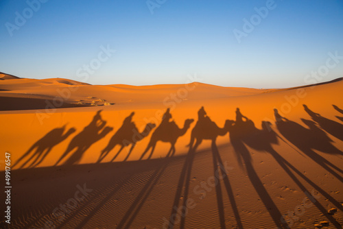 Fototapeta Naklejka Na Ścianę i Meble -  shadow of camels in a caravan in the desert 