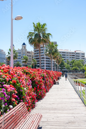 The Flower Bridge in Valencia Spain city street