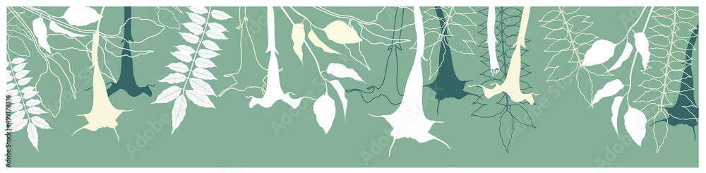 Fototapeta premium Floral tropical banner. Vector background with white, light yellow and dark green silhouettes of flowers and leaves of brugmansia, wisteria and acacia. Illustration isolated on a green background.