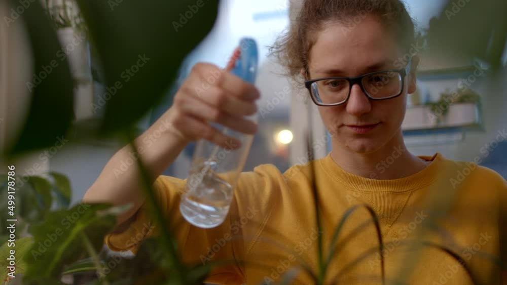 Closeup view of a florist in casual clothes and glasses watering her houseplants. Closeup view of a florist in casual clothes and glasses watering her houseplants.