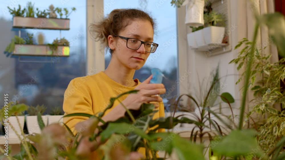 Caring young botanist in casual clothes and glasses watering her houseplants. Caring young botanist in casual clothes and glasses watering her houseplants.