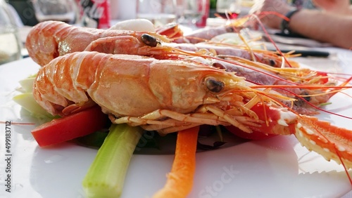 seafood