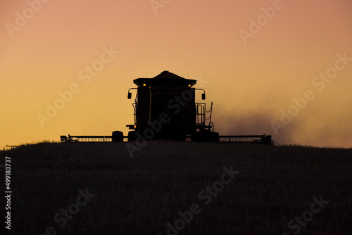 Harvester machine, harvesting in the Argentine countryside, Buenos Aires province, Argentina. © foto4440