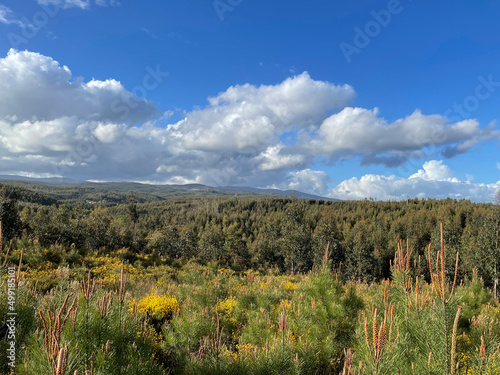 Bergland von Portugal im Frühling photo