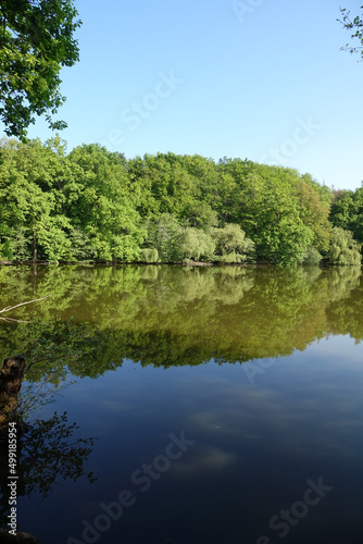 Maunzenweiher bei Frankfurt