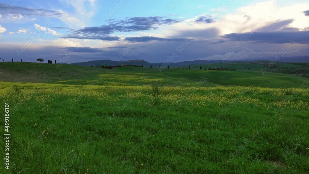 Tuscany landscape at sunset with flowers and hills, Italy, panorama 4k Tuscany landscape at sunset with flowers and hills, Italy, panorama 4k