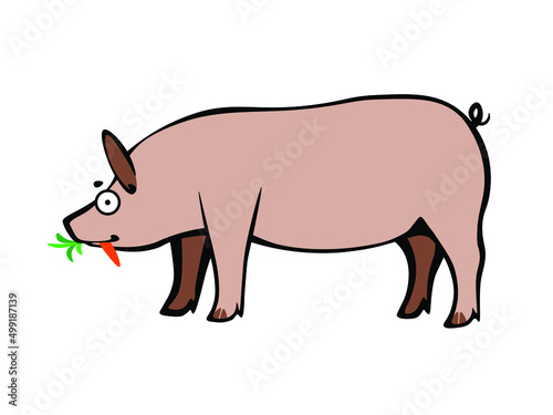 Funny cartoon careless piggy eating carrot