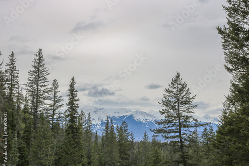 Canadian rocky mountains during winter