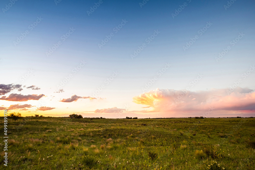 Landscape in La Pampa Argentina at sunset, La Pampa province, Patagonia, Argentina.