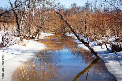 In the spring, ice melted on the river in the grove.