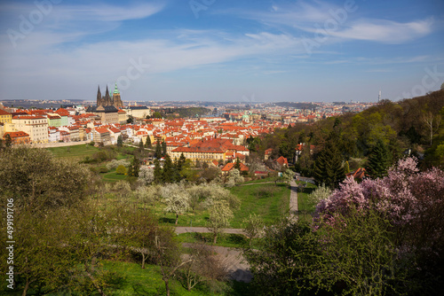 Spring Prague City with gothic Castle and the colorful Nature with flowering Trees from the Hill Petrin  Czech Republic