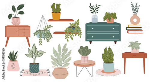 Set of furniture and potted plants vector flat Illustration. Houseplants and interior elements.