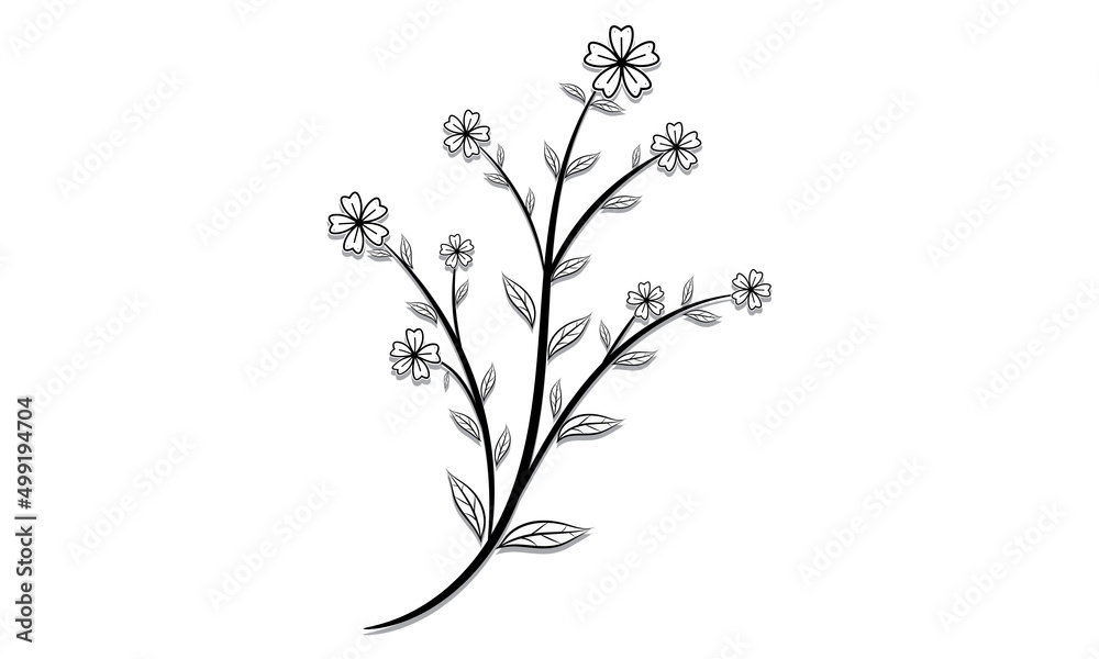 Botanical illustration decorative floral picture on white isolated background