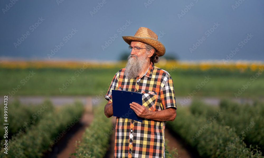 Obraz premium Agriculture. Farmer checking plants in the field and making a notes. Agricultural concept