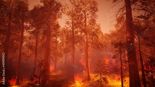 Landscape scene of wildfire 3d rendering