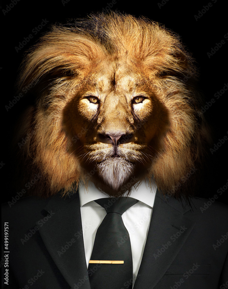 Man in the form of a Lion with Suit and tie , The lion person , animal face isolated black - obrazy, fototapety, plakaty 