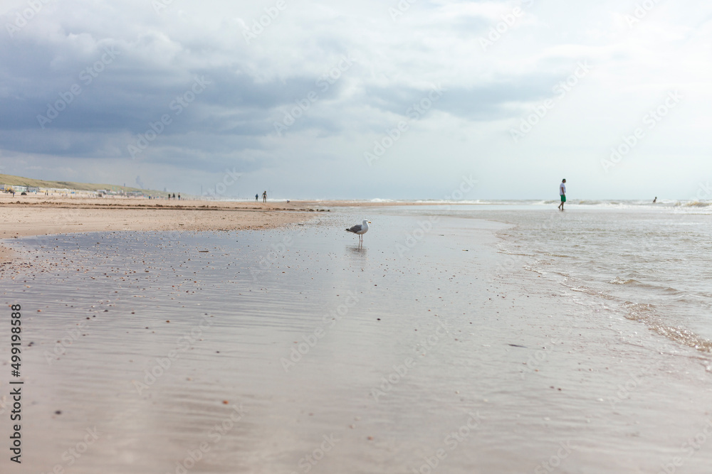 Strand in Holland