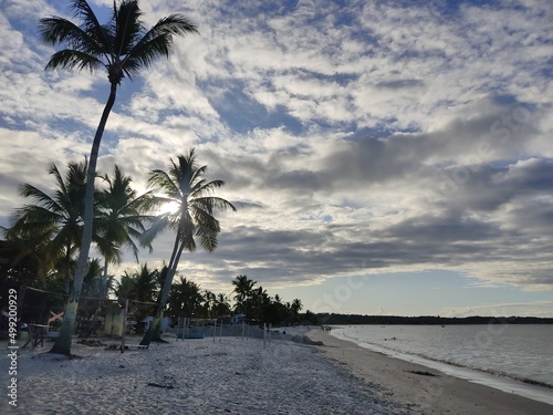 Spiaggia con palme, sullo sfondo il cielo azzurro con nuvole, sabbia e mare.