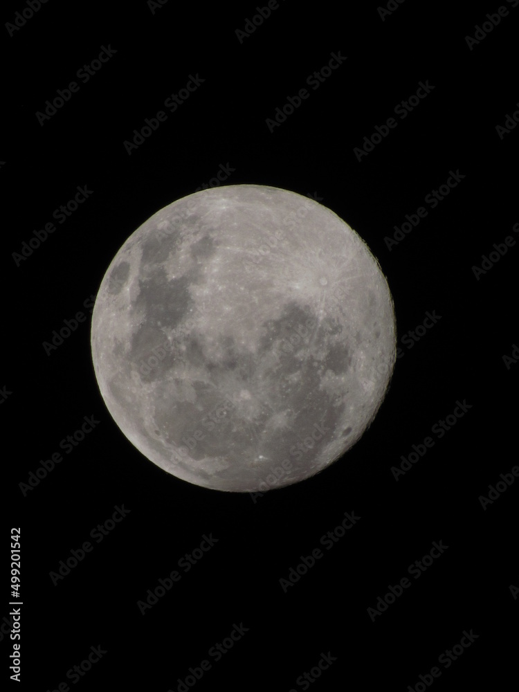 Fototapeta premium Moon