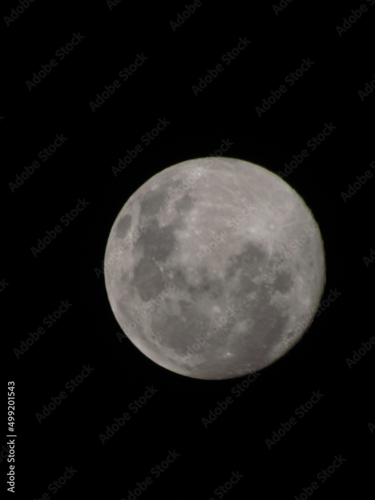 Moon Moon