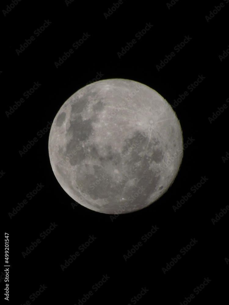 Fototapeta premium Moon
