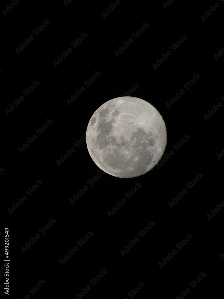 Moon Moon