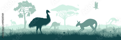 Seamless panorama of Australian plains with acacia tree, kangaroo, cockatoo, fruit bat, kookaburra, emu and eagle.