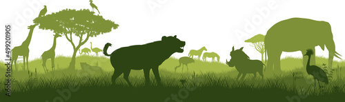 Vector horizontal seamless tropical african savannah with giraffe, hyena, ostrich, zebra, vulture, eagle, secretary bird, lioness, elephant, crowned crane and warthog
