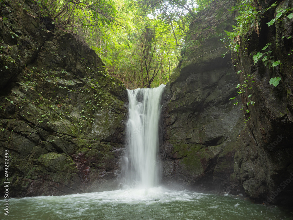 Fototapeta premium 山奥の滝