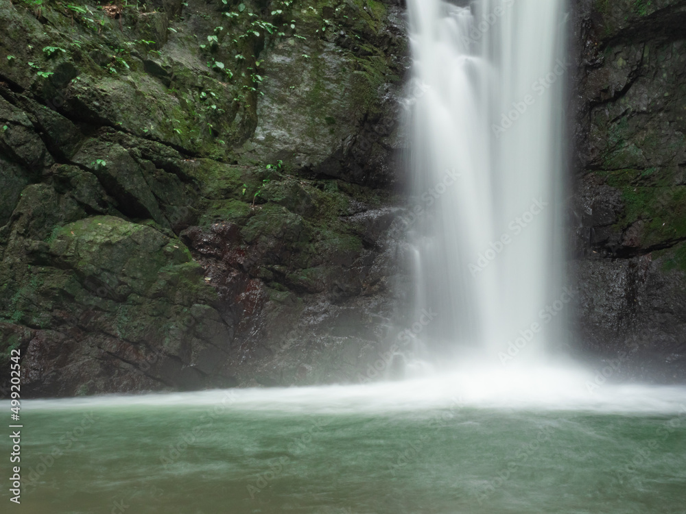 Fototapeta premium 山奥の滝