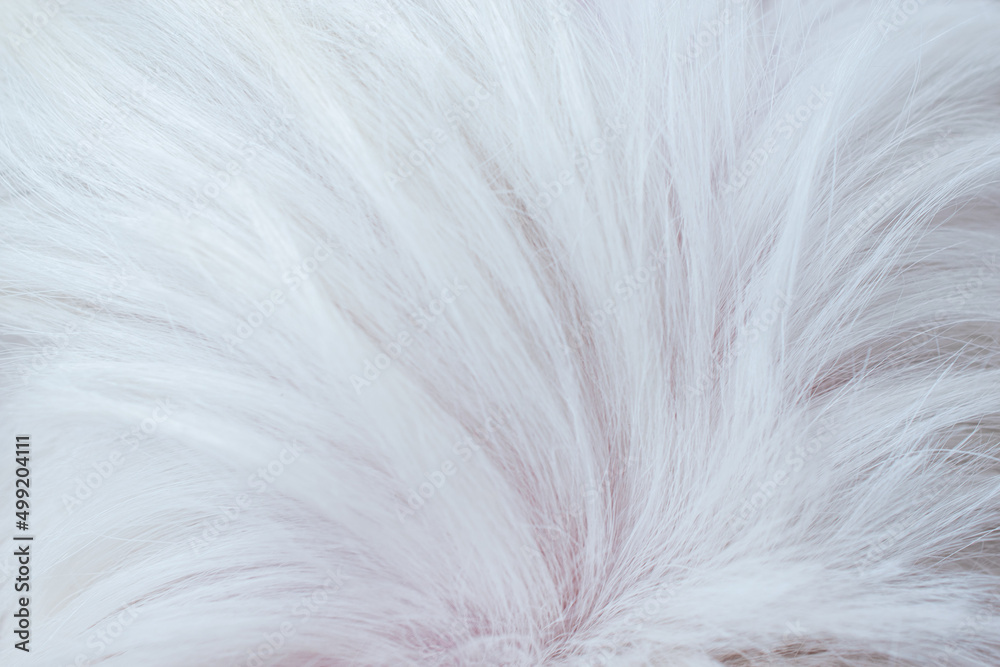 Abstract white dog fur background texture close-up
