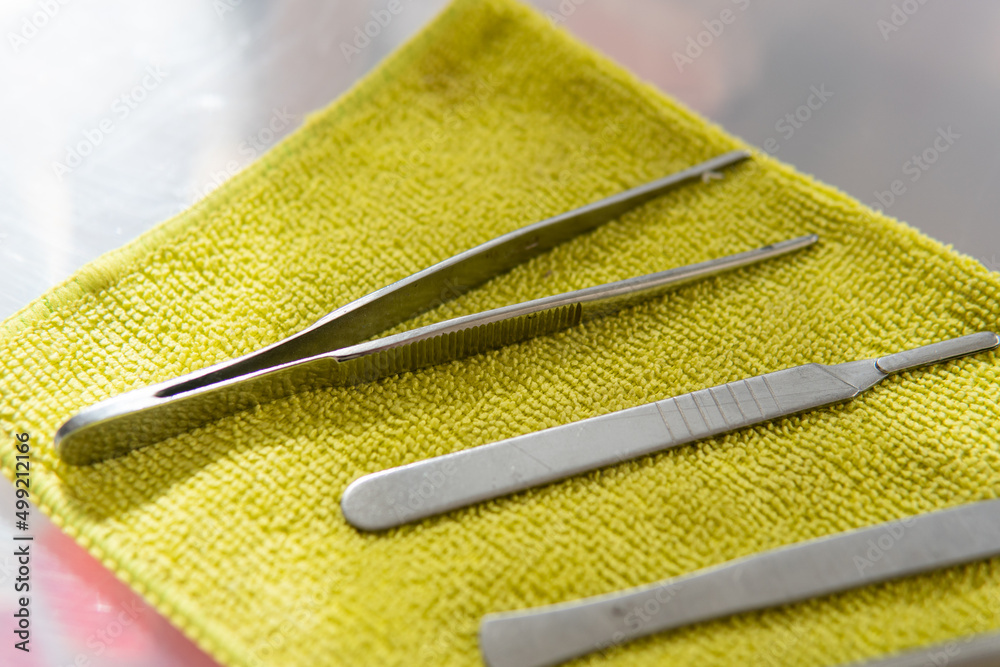 .medical metal instrument. Sharp scalpels and tweezers for medical purposes