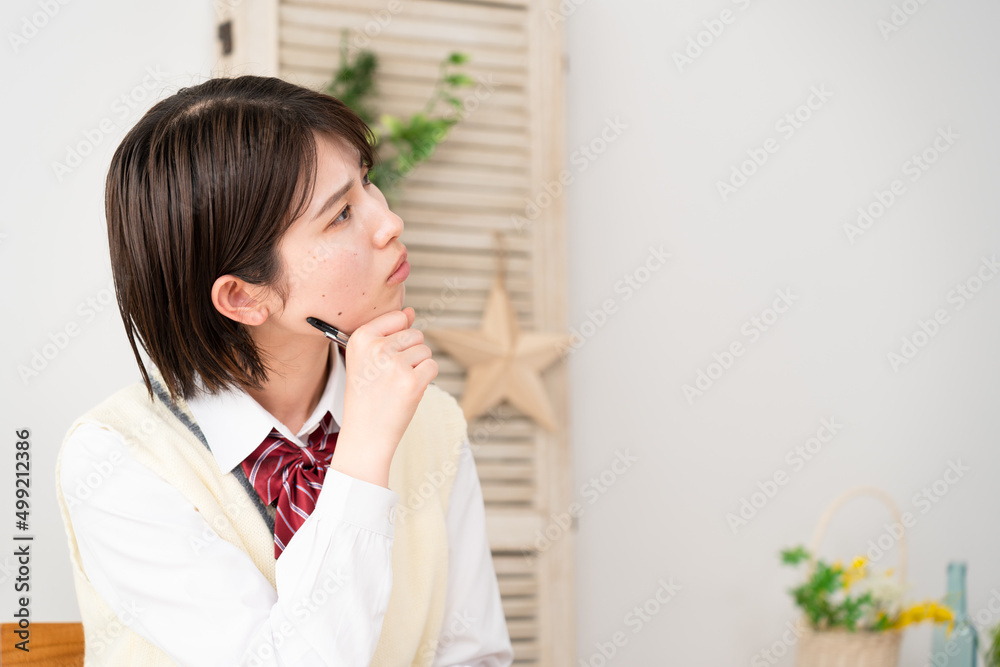 勉強をする女子高生 勉強をする女子高生