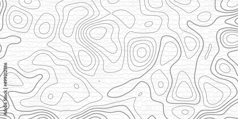 topographic topo contour map background, Vector graphic illustration