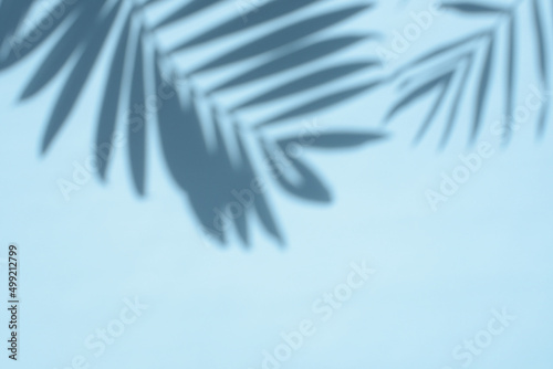 Gray shadow of palm leaves on a light blue background  copy space