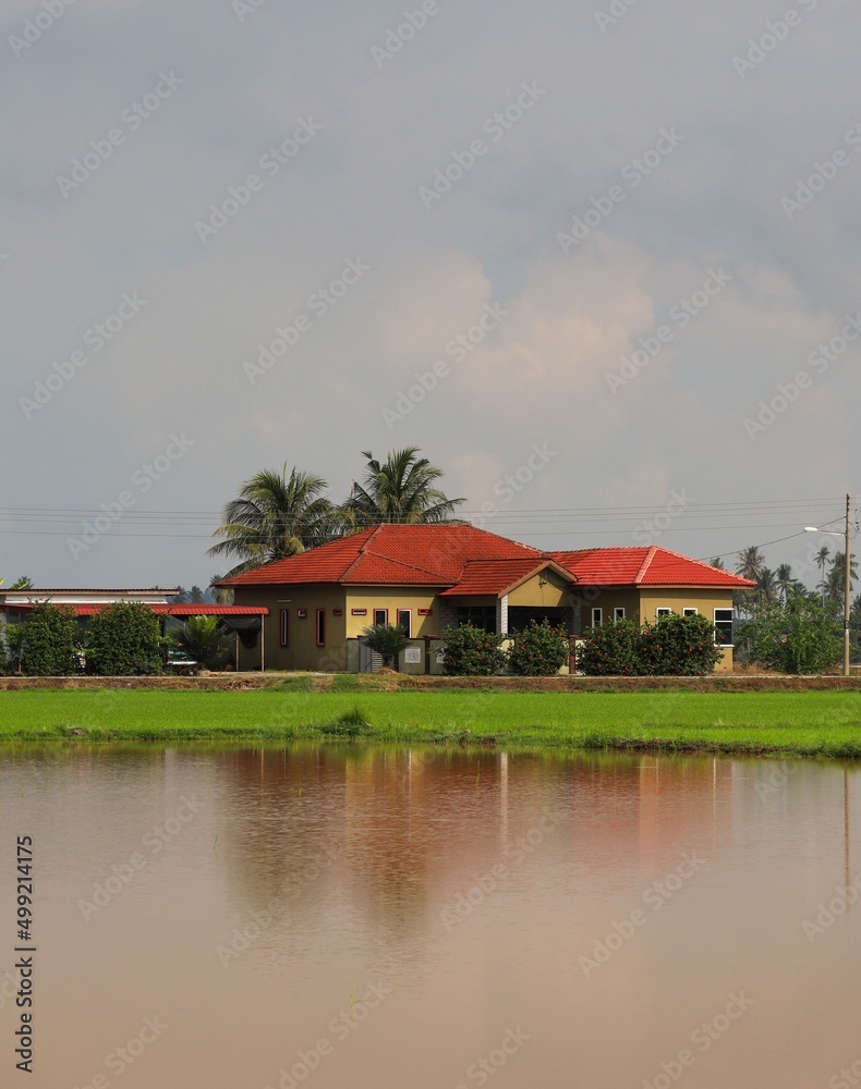 house at the paddy field