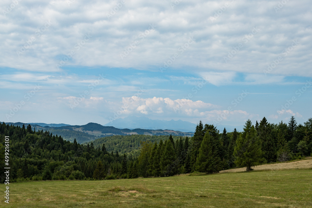 Panorama z Eliaszówki, Beskid Sądecki Piwniczna Zdrój