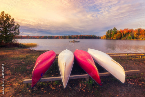 Canoes in a row beside a lake in Oastler Lake in Canada photo