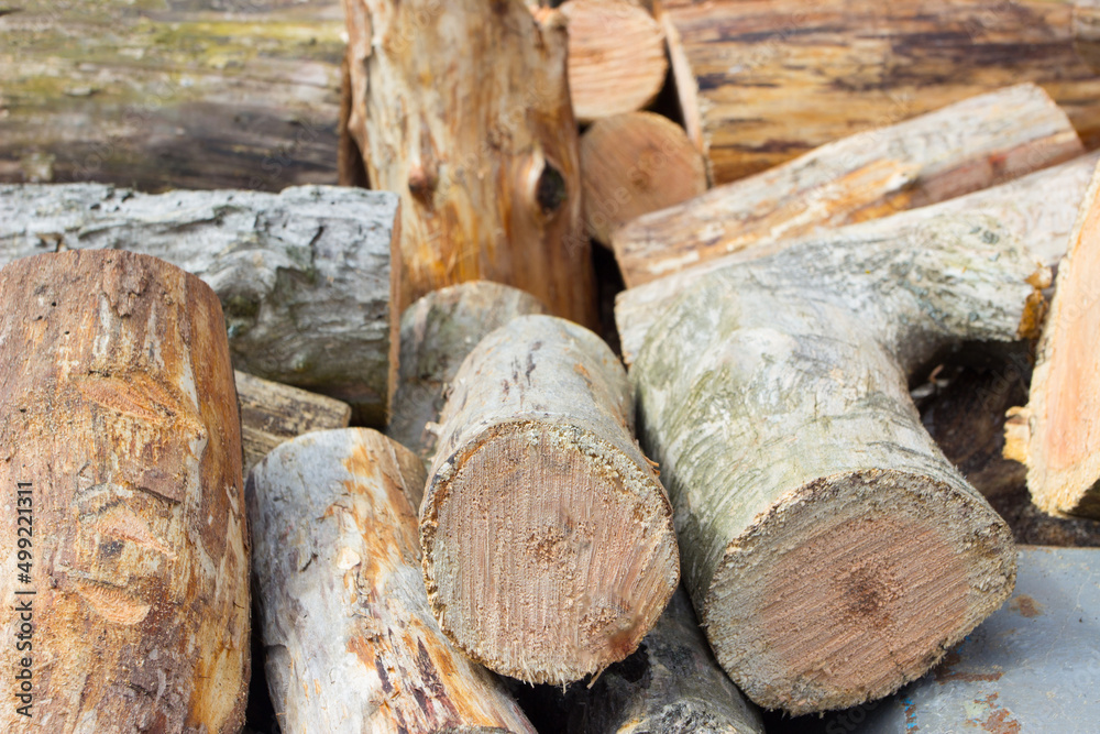 Preparation of firewood for own needs, blurred background Preparation of firewood for own needs, blurred background
