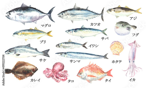 水彩で描いた魚介類のイラストセット
