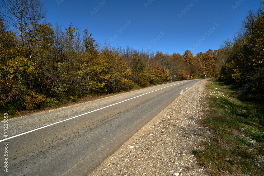 Image of the road in the autumn forest.