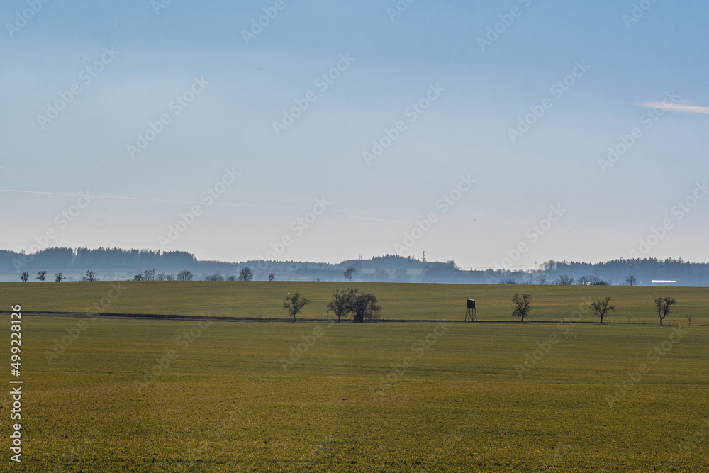 Fototapeta premium misty morning in the field