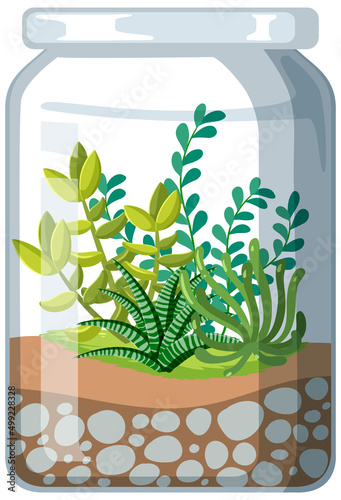 Cute glass terrariums with succulents on white backround