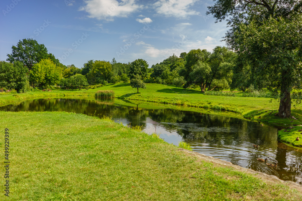 Scenic View of the Park in the Summer