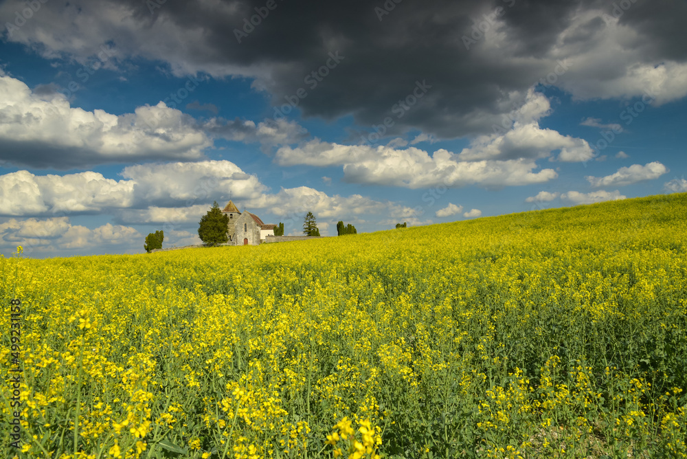 view of a church in the middle of a rapeseed field