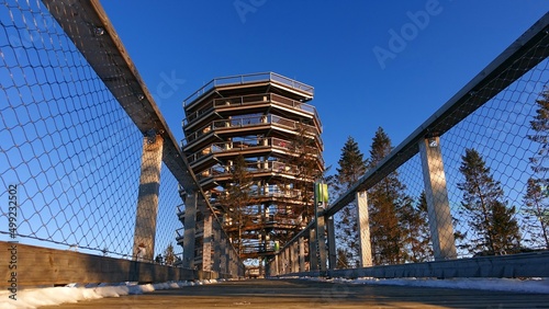 observation tower, canopy walk