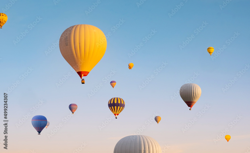 Fototapeta premium Colorful hot air balloons flying in clear blue sky