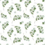 Watercolor silver dollar eucalyptus seamless pattern.. Hand painted illustration for wedding design, print, fabric or background. Green eucalyptus branch and leaves isolated on white background