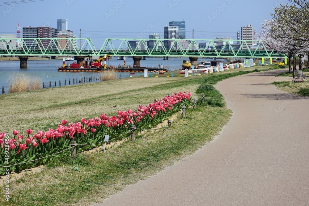 Obraz premium 日本の都市の春の川の風景